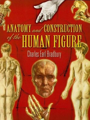 cover image of Anatomy and Construction of the Human Figure